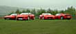 Fazzas in the mist