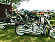 There were lots and lots of Harleys