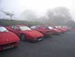 The foggy, foggy dew