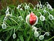 ...a prize if you can identify them (not so fast PG)
