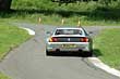 RA takes some kerb
